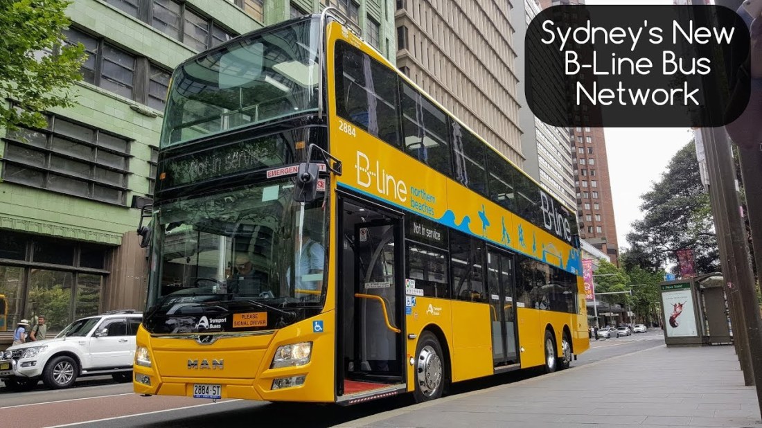 sydney bline bus2
